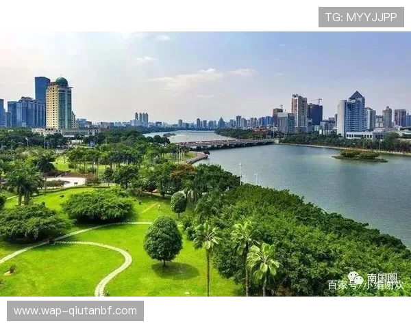 江南体育app：结合社交功能打造互动交流的体育社区